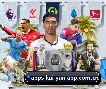 开云 APP | Kaiyun